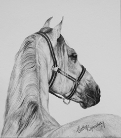 caballo de rejoneador